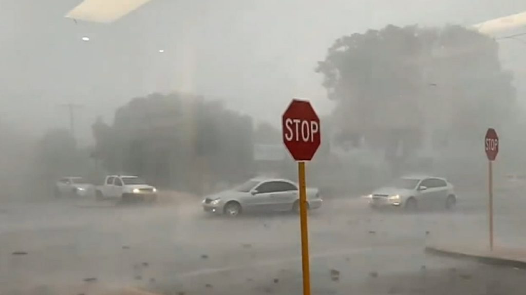 Perth severe weather warning: Trees down across roads, power blackouts as wild winds cause chaos